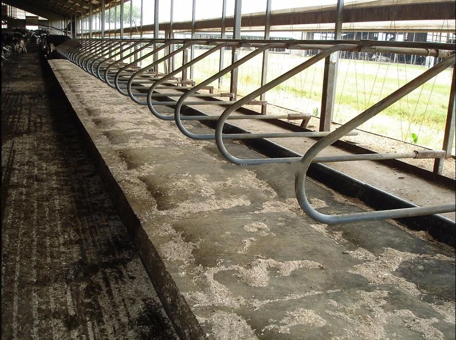 Steel Structure Shed2